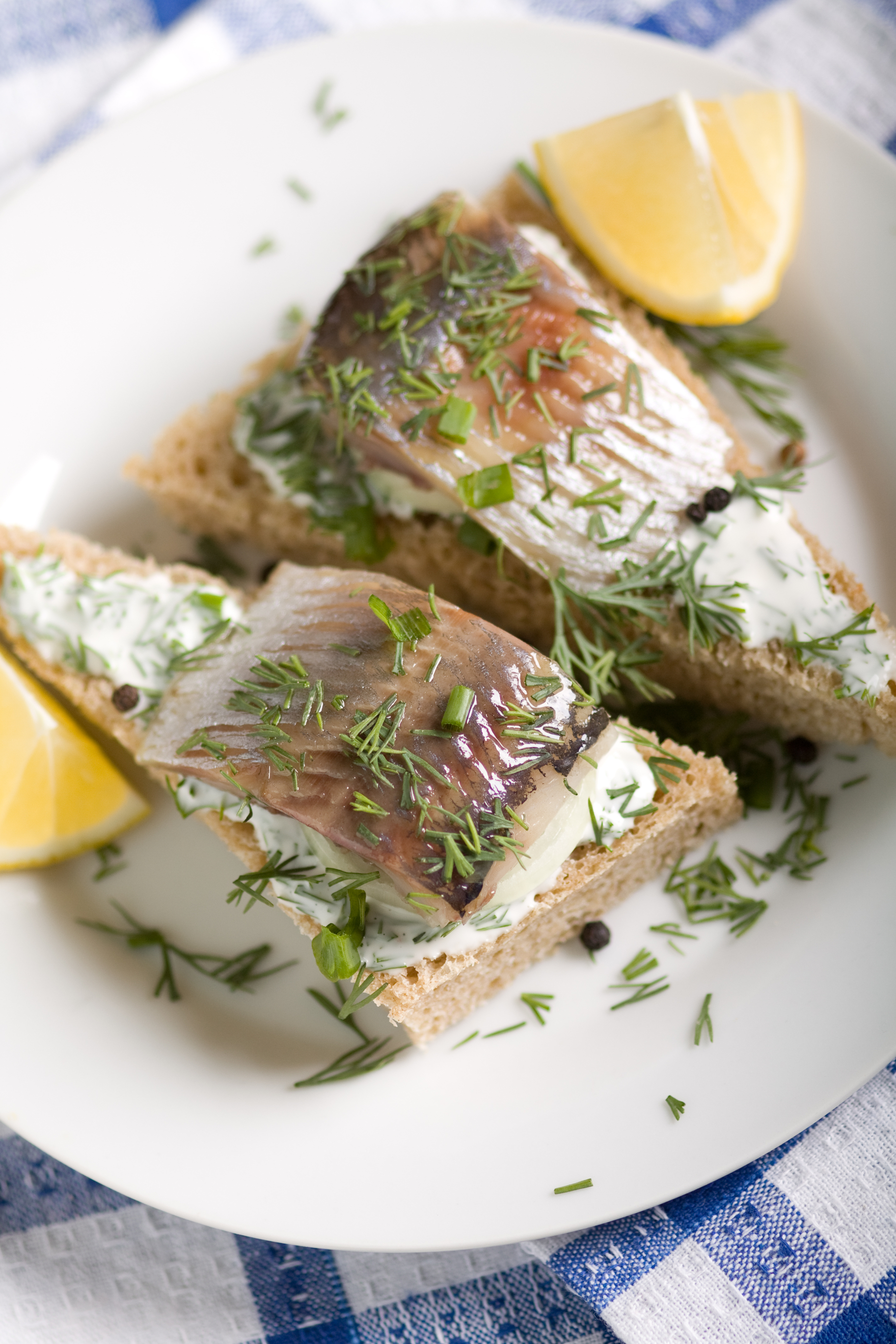 herring+sandwich