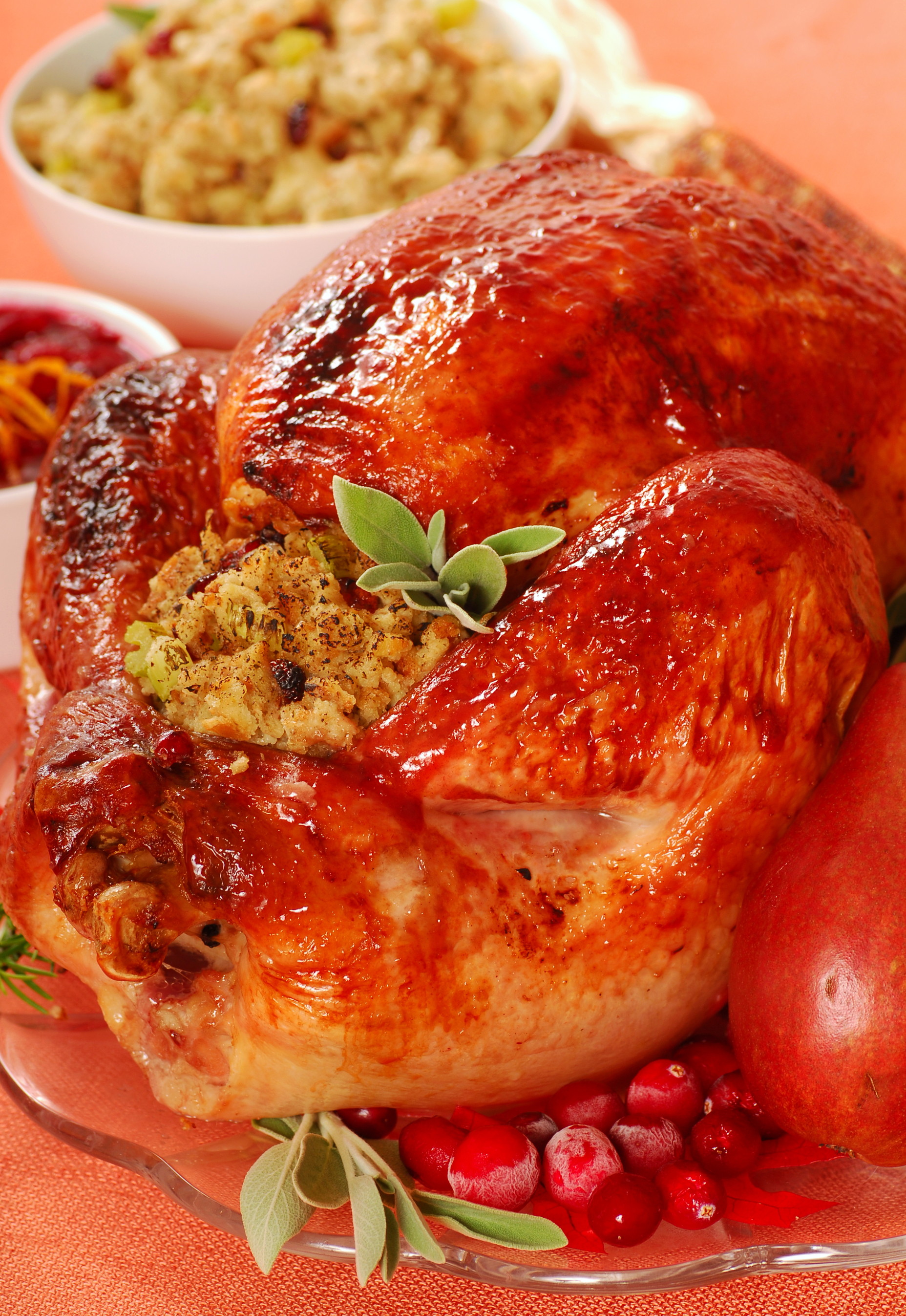 turkeypageCranberry glazed turkey